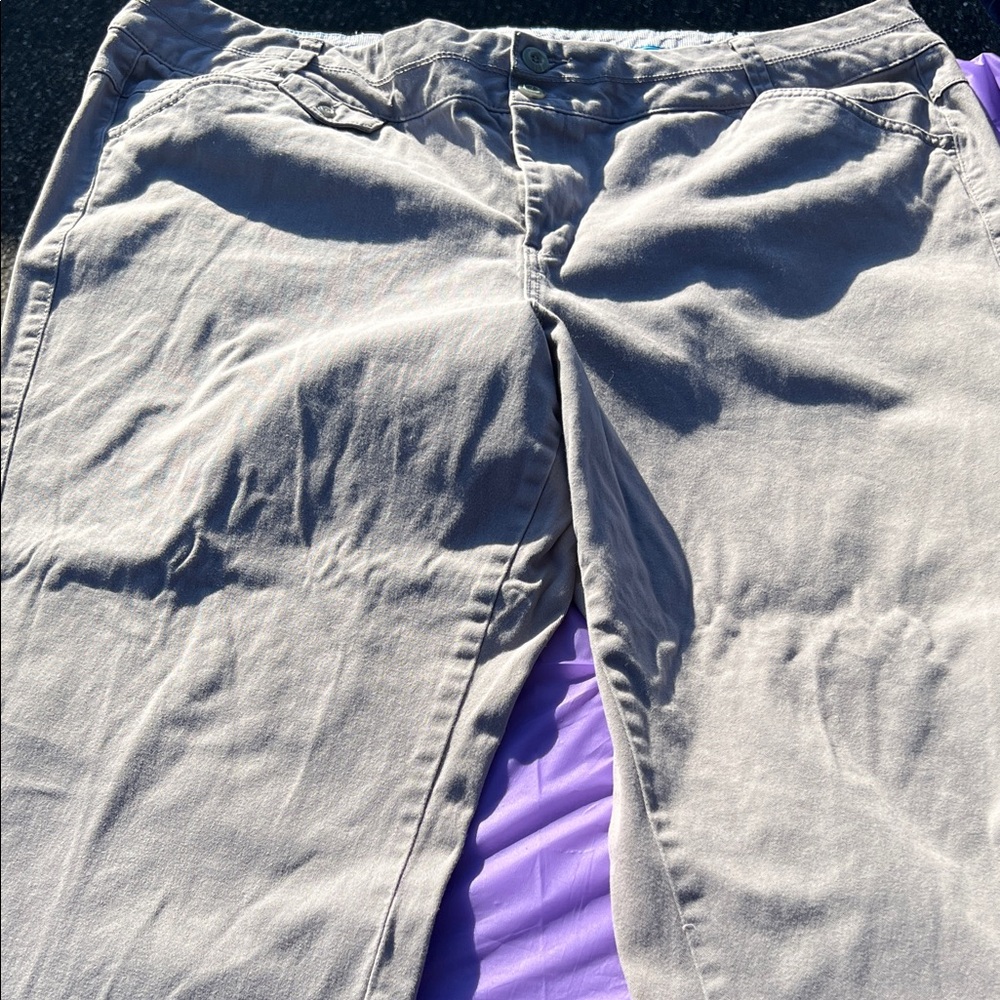 Lane Bryant Light Tan Trousers